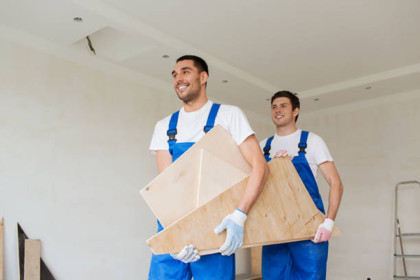 Best Residential Junk Removal  in Dundee, MI