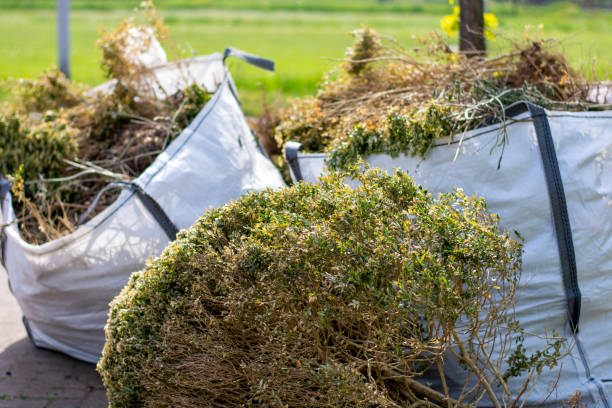 Best Yard Waste Removal  in Dundee, MI